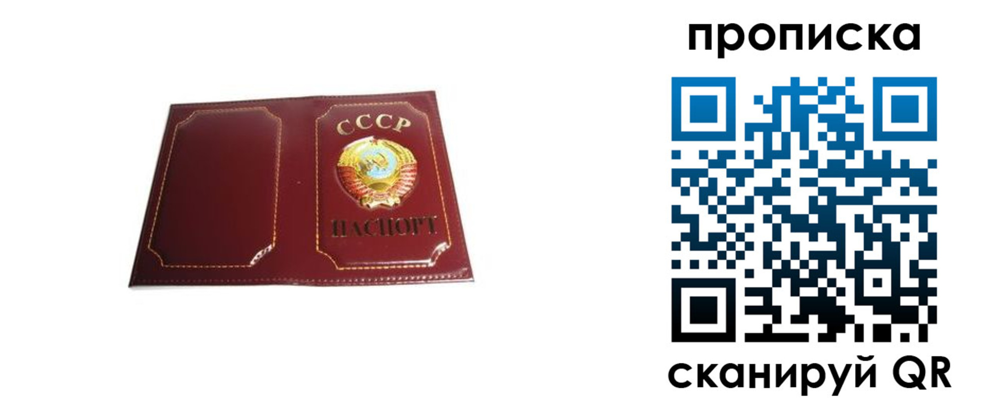 прописка гарантия в Курганинске